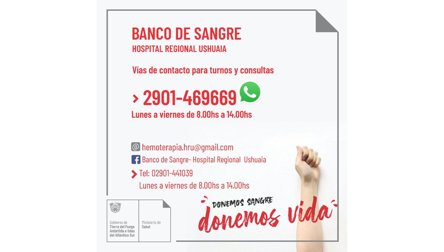 The Blood Bank adds a WhatsApp line to the donor shift system